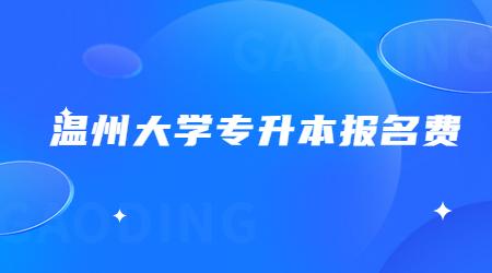 温州大学专升本报名费