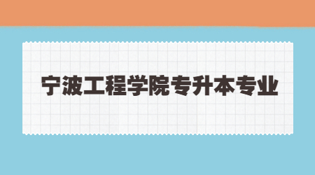 宁波工程学院专升本专业