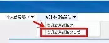浙江专升本报名提交完信息后需要注意什么？